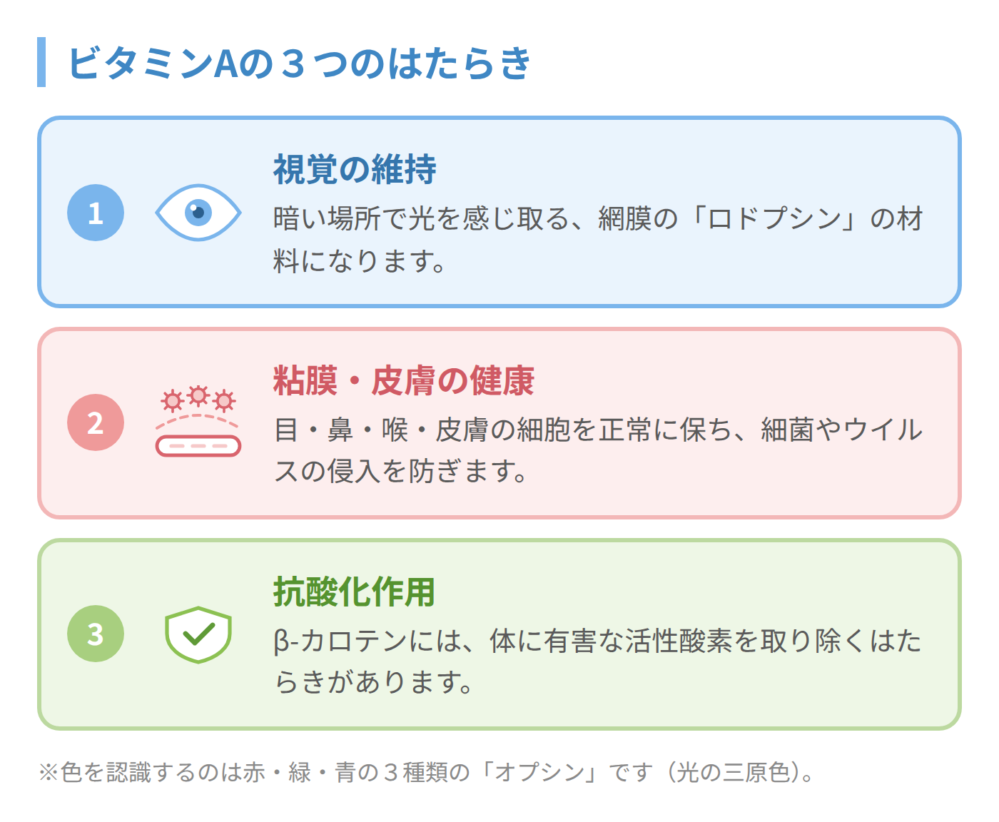ビタミンAの3つのはたらき(視覚の維持・粘膜や皮膚の健康・抗酸化作用)